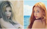 Cerita Sex Nikmatnya Ngentot Sama Janda Kembang Cerita Sex Nikmatnya Ngentot Sama Janda Kembang